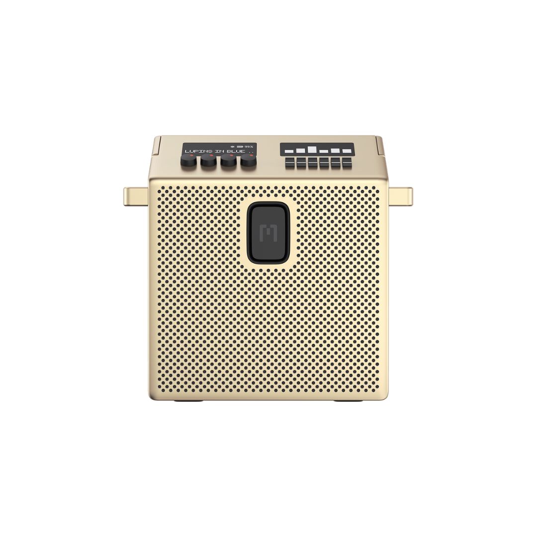 SPEAKER MEDIUM DORADO