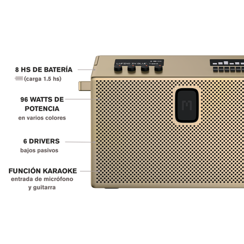 SPEAKER LARGE DORADO